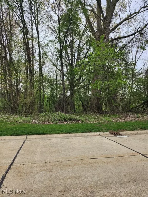 Stonebridge DR, Amherst, OH 44001