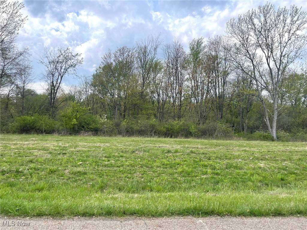 Lot# 13 Candell/Forest Ave ST SE, Massillon, OH 44646