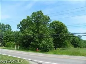 Strongsville, OH 44149,Priem RD