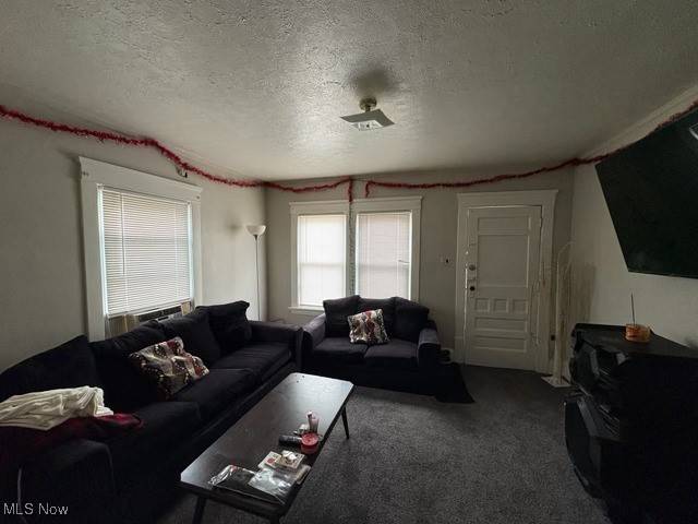 Akron, OH 44307,805 Biruta ST