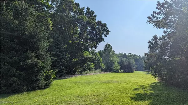Chagrin Falls, OH 44023,V/L Chillicothe RD