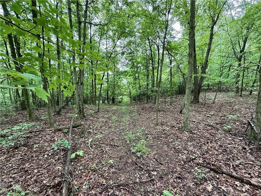Lisbon, OH 44432,44312 Cream Ridge RD