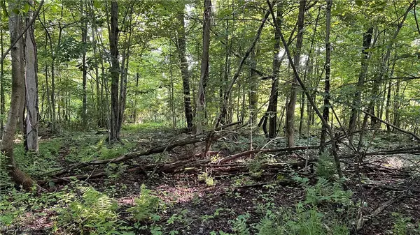 Orchard ST, Andover, OH 44003