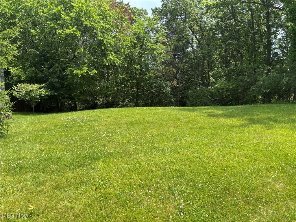 Seven Hills, OH 44131,VL Laura Lee LN