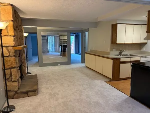 Akron, OH 44313,1611 Treetop TRL #B