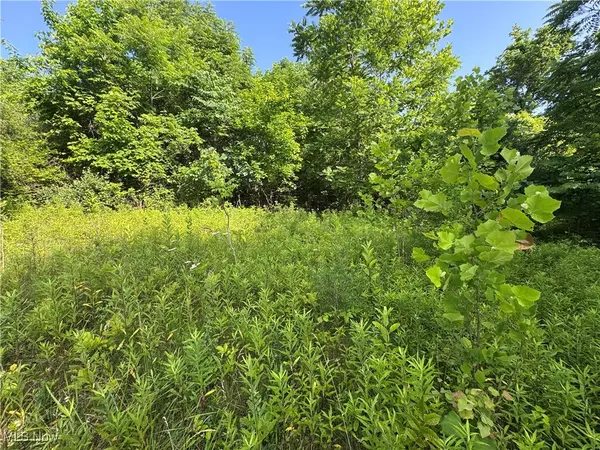 10170 Pierson LN,  Mcconnelsville,  OH 43756
