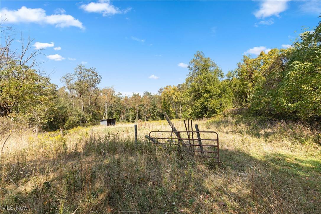 49495 N Back ST, Harrisville, OH 43974