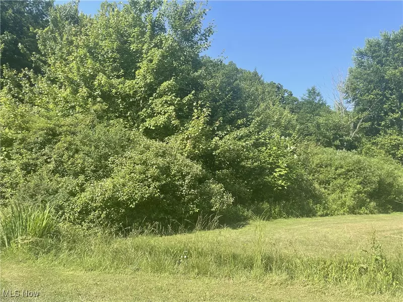 Chestnut ST, Andover, OH 44003