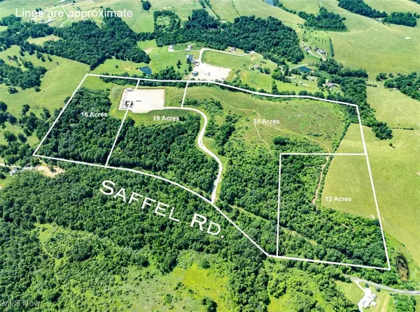 Belmont, OH 43718,19 acres Saffell RD