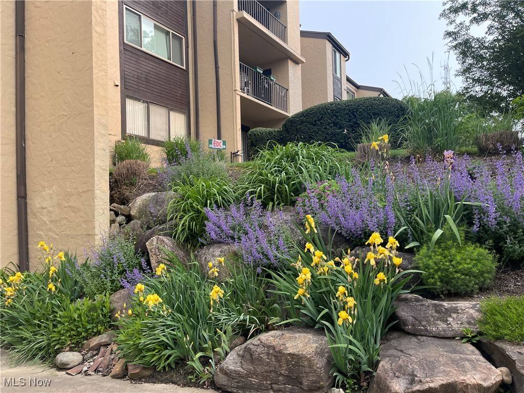 171 Court DR #104, Fairlawn, OH 44333