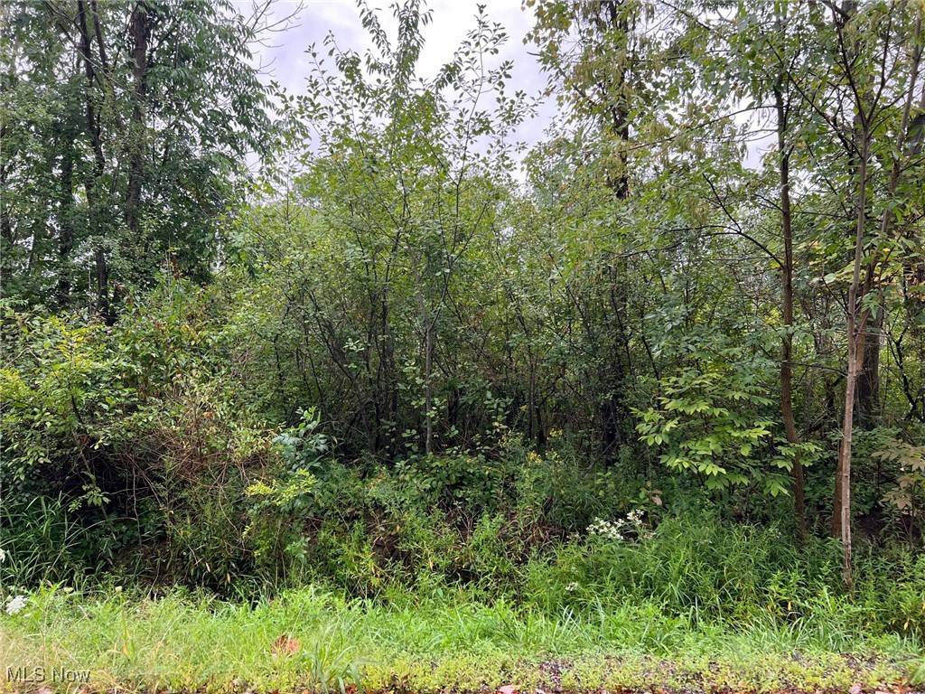 VL Springfield Rd, Warrensville Heights, OH 44128