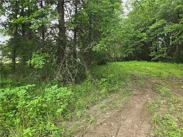 Grafton, OH 44044,VL Parsons RD