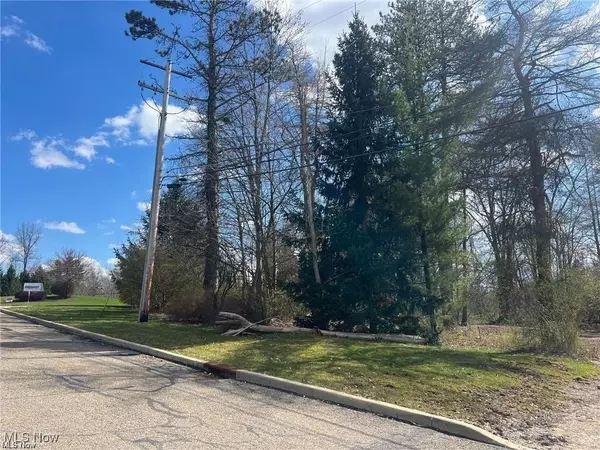 Northfield, OH 44067,V/L Meadow LN