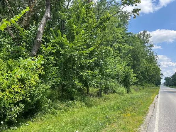 Olmsted Twp, OH 44138,27218 Bagley RD