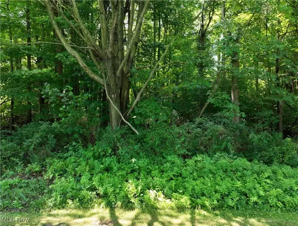 Indianola DR, Madison, OH 44057