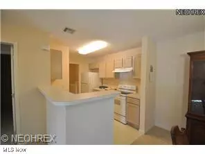 Westlake, OH 44145,29880 Center Ridge RD #111