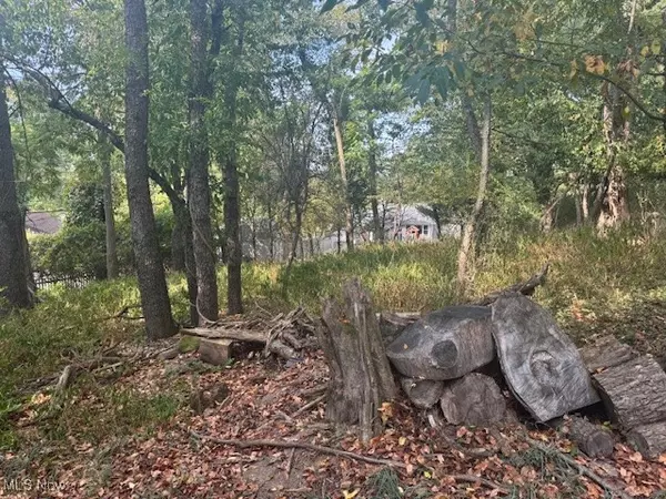 Zanesville, OH 43701,E Ray- 36A DR