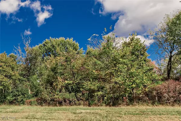 Olmsted Twp, OH 44138,V/L Schady RD