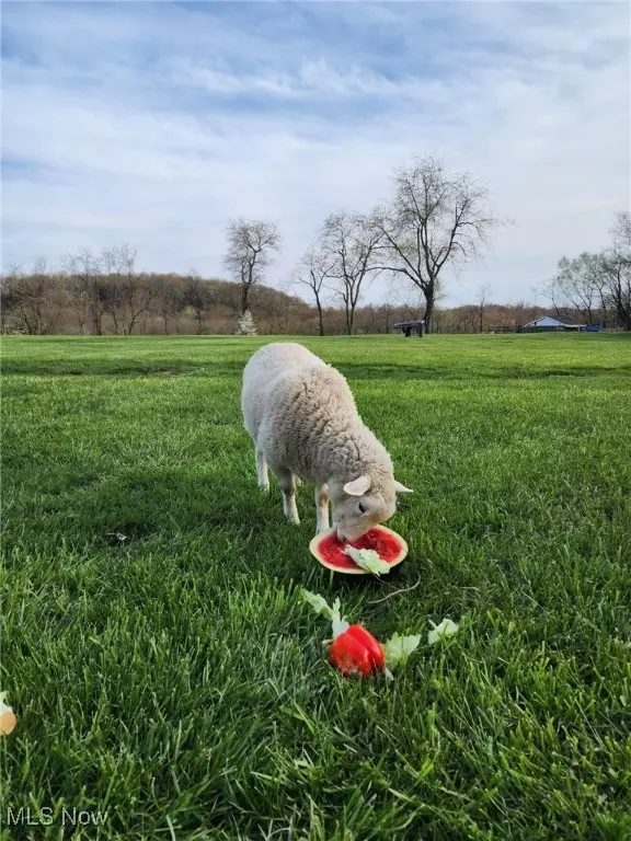 East Liverpool, OH 43920,1170 Dillworth RD