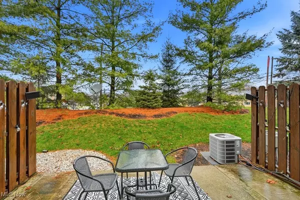 Northfield, OH 44067,213 Steeple Chase RUN