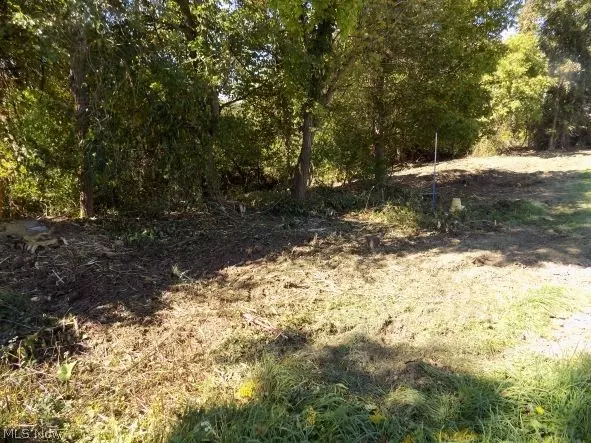 Bridgeport, OH 43912,0 Maple DR