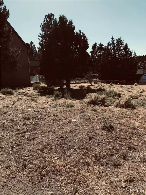 1185 Angelus AVE, Big Bear City, CA 92314