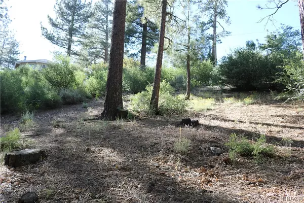 Big Bear Lake, CA 92315,43152 Plymouth RD