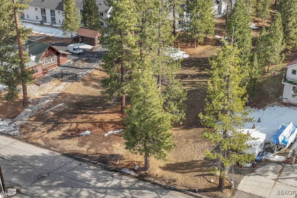Big Bear Lake, CA 92315,725 Cameron
