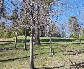 Running Springs, CA 92382,42 Park DR