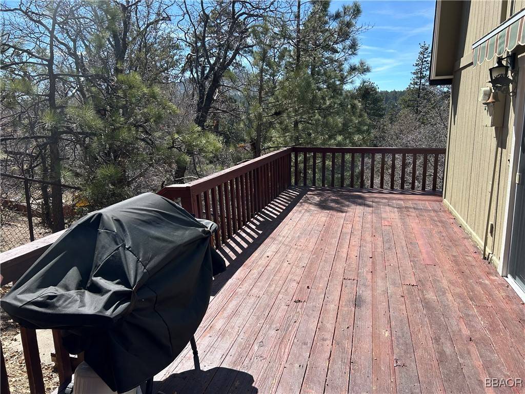 Fawnskin, CA 92333,1234 Bruin Trail