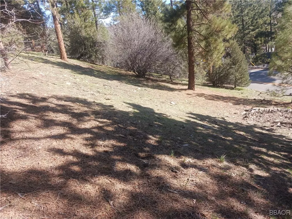 Big Bear City, CA 92314,0 Big Bear Blvd
