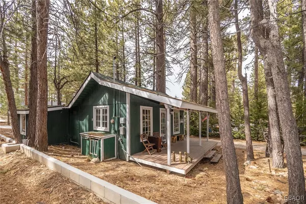 Big Bear Lake, CA 92315,724 Georgia ST