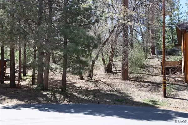0 Avalon, Big Bear Lake, CA 92315
