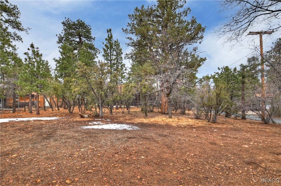 0 Wabash LN, Sugarloaf, CA 92386
