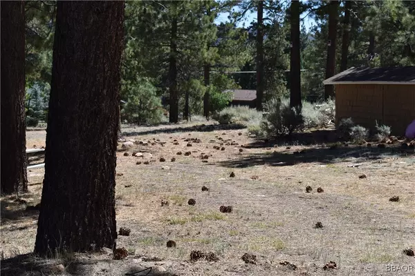 Big Bear Lake, CA 92315,0 Forest RD