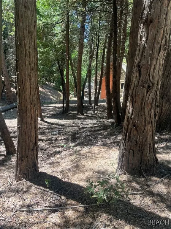 Lake Arrowhead, CA 92352,000 Cumberland DR