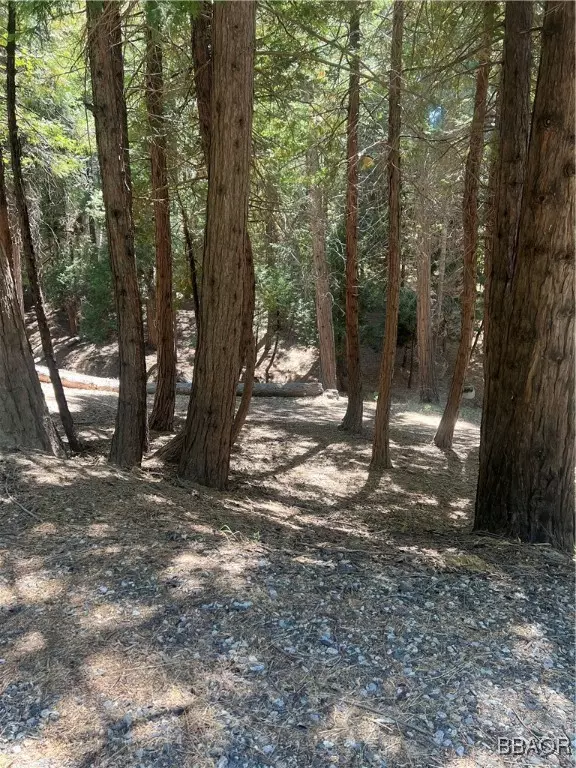 000 Cumberland DR, Lake Arrowhead, CA 92352