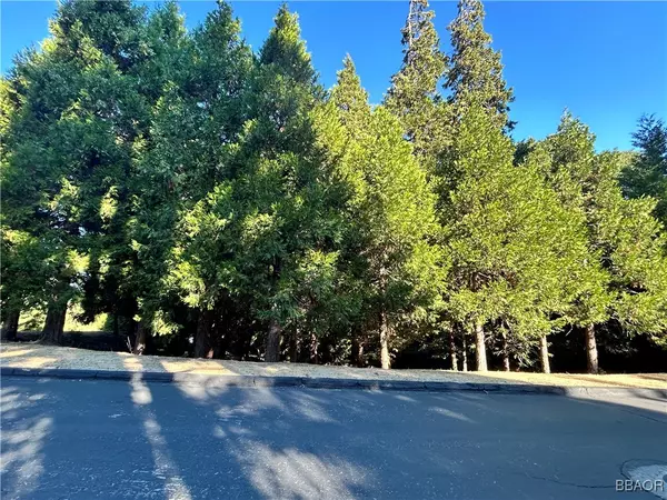 Lake Arrowhead, CA 92352,28980 White Dove LN