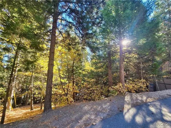 Lake Arrowhead, CA 92352,0 Brentwood DR
