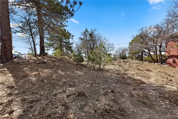 Green Valley Lake, CA 92341,33116 Holcomb Creek DR