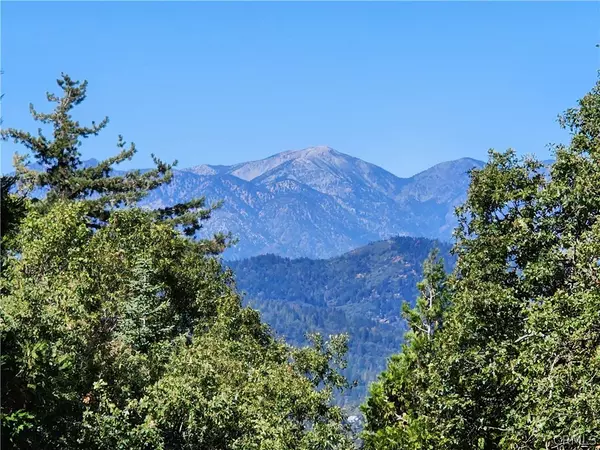 0 North RD, Twin Peaks, CA 92391