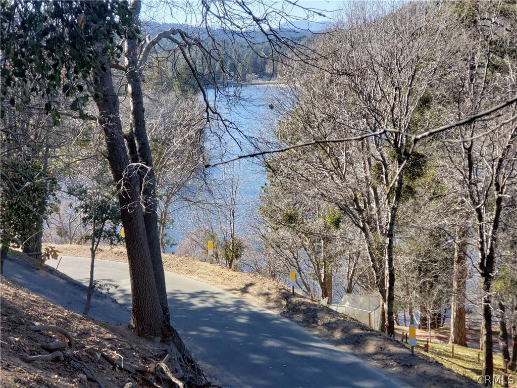 Crestline, CA 92325,24697 San Moritz DR