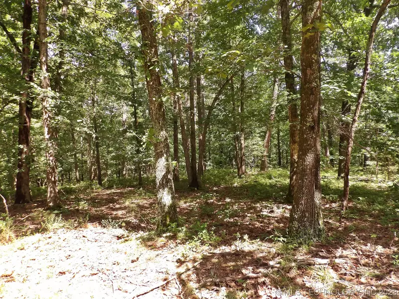 121 Black Cub CIR, Kansas, OK 74347