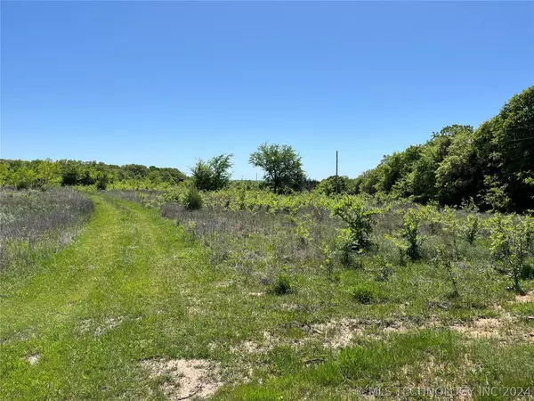 Madill, OK 73446,Bridgeview RD