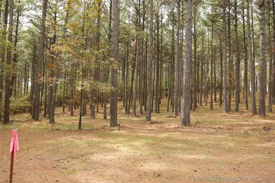 1767 Goat Rock RD, Smithville, OK 74957