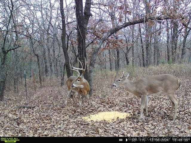 E 580 RD, Terlton, OK 74081