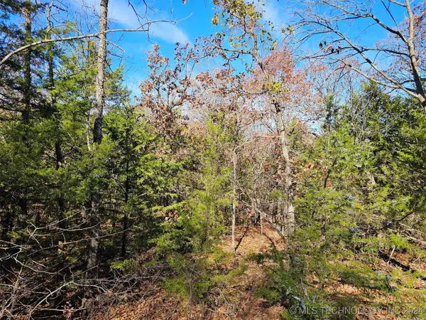 2617 W Lakeshore DR,  Cleveland,  OK 74020