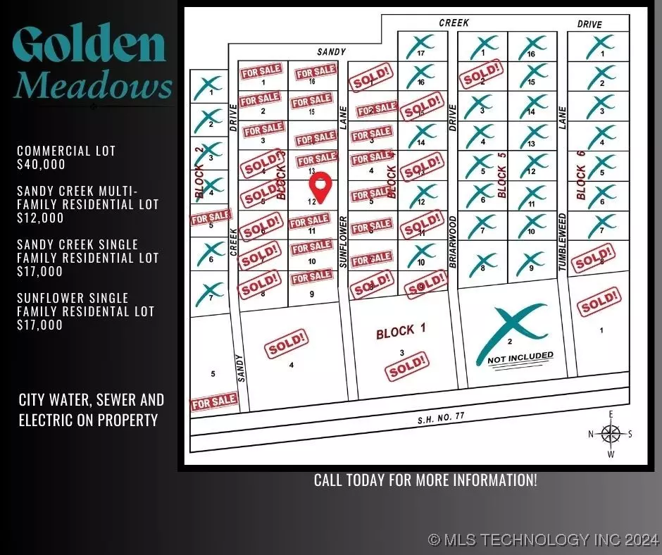 Davis, OK 73030,12 Sunflower