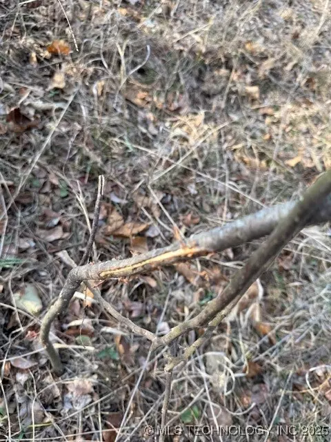 Pryor, OK 74361,W 430 RD