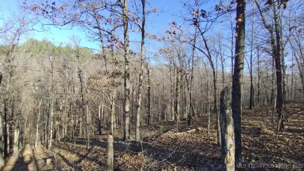 464201 Acorn RDG, Proctor, OK 74457